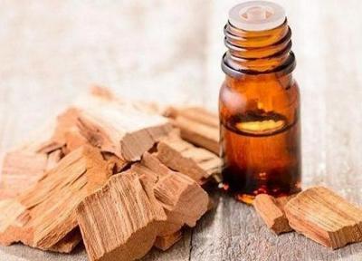 درمان طاسی سر با روغن چوب صندل