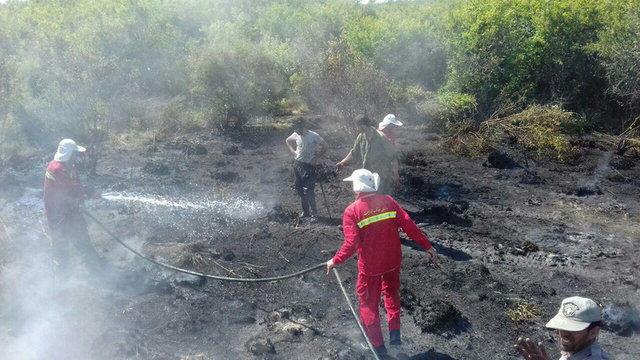 3 هکتار از اراضی میانکاله در آتش سوخت
