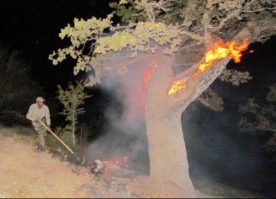آتش سوزی جنگل عباس آباد مهار شد