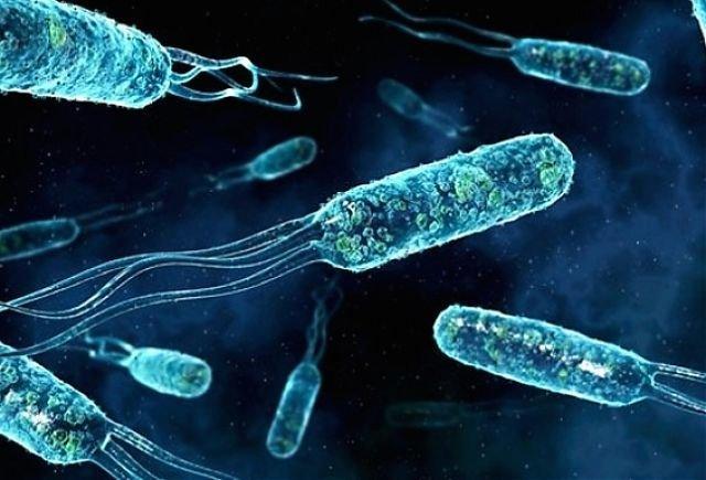 چرا باکتری ها به آنتی بیوتیک مقاوم می شوند؟