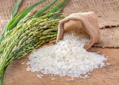 برنج یکی از محبوب ترین غلات در حال حاضر در جهان است