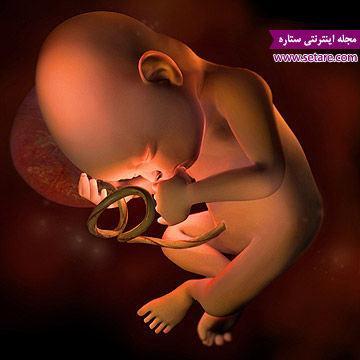 هفته سی ام بارداری - بارداری هفته به هفته هفته سی ام بارداری - بارداری هفته به هفته
