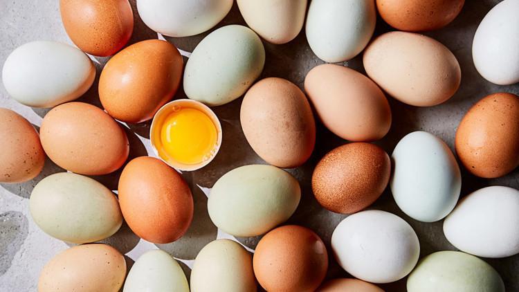 این 6 نوع تخم مرغ از سم هم مضرتر هستند!