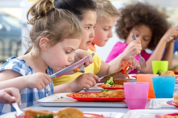 رژیم غذایی مناسب بچه ها چیست؟