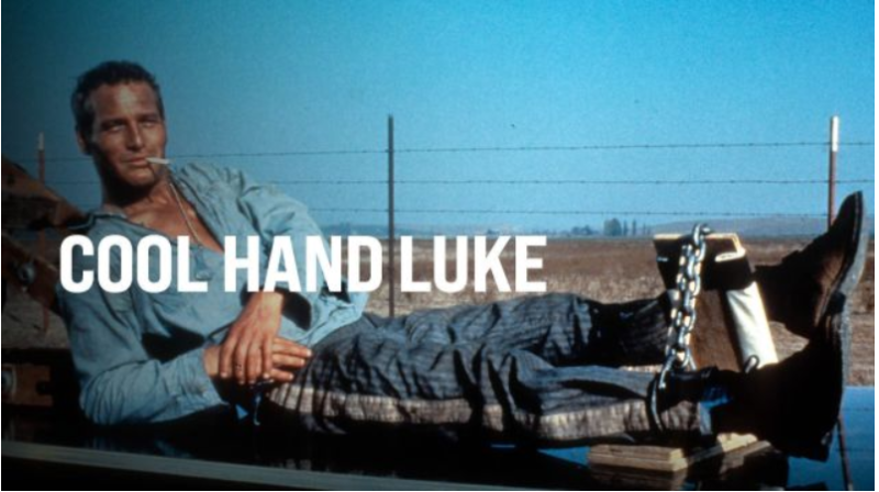 فیلم لوک خوش دست 1967 - Cool Hand Luke