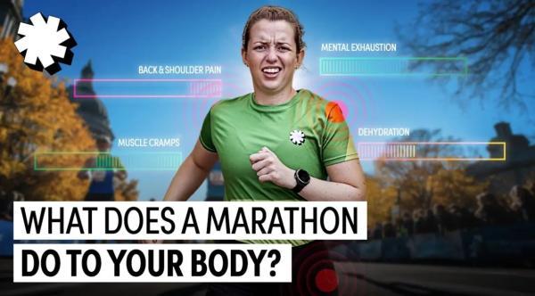 پس از یک دوی ماراتن 42 کیلومتری، چه بر سر بدن می آید؟